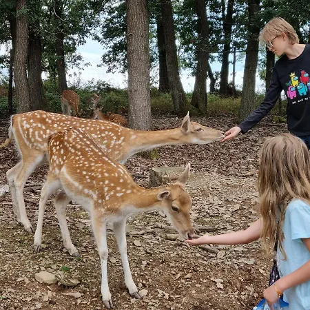 Beim Nationalpark Eifel Nideggen