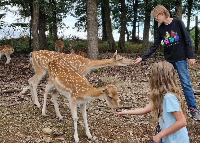 Beim Nationalpark Eifel Nideggen